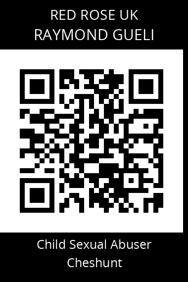 QR code for raymond-gueli
