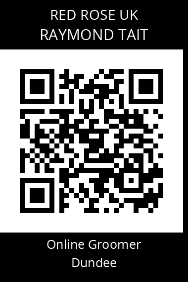 QR code for raymond-tait