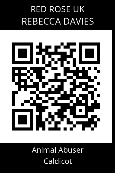QR code for rebecca-davies