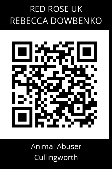 QR code for rebecca-dowbenko