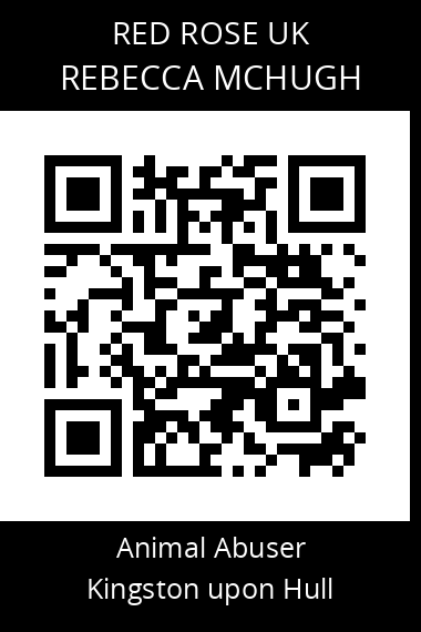 QR code for rebecca-mchugh