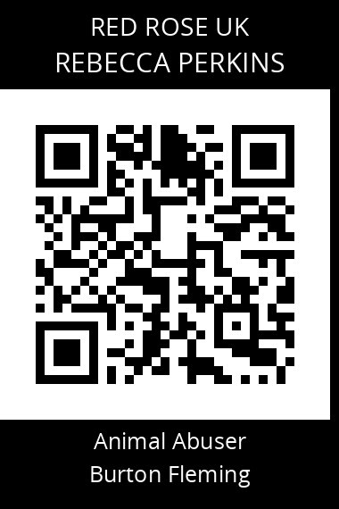 QR code for rebecca-perkins