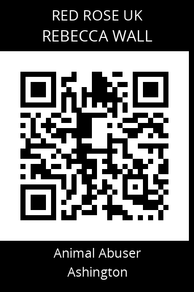 QR code for rebecca-wall