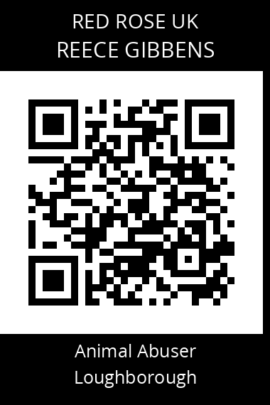 QR code for reece-gibbens