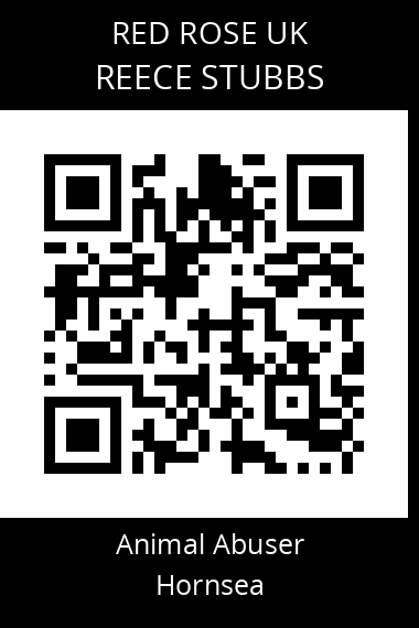 QR code for reece-stubbs