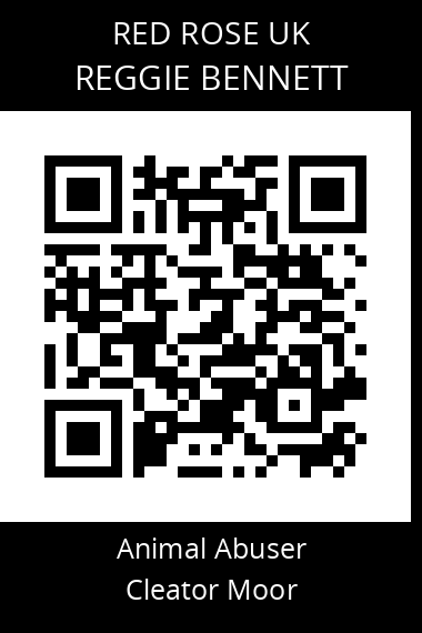 QR code for reggie-bennett