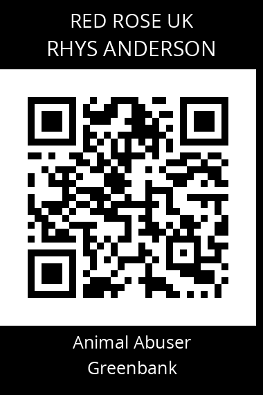 QR code for rhys-anderson