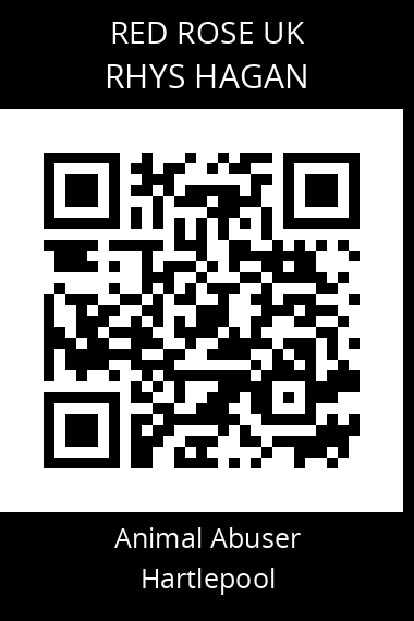 QR code for rhys-hagan