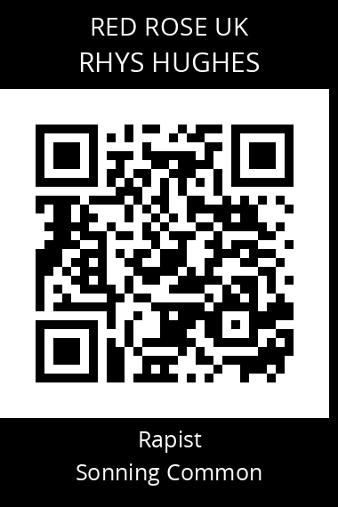 QR code for rhys-hughes