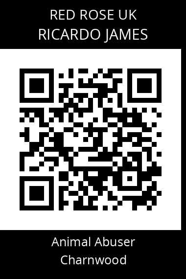 QR code for ricardo-james