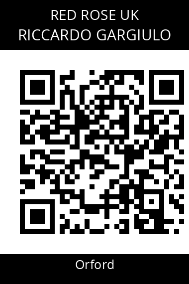 QR code for riccardo-gargiulo-2