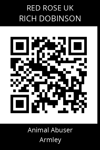QR code for rich-dobinson