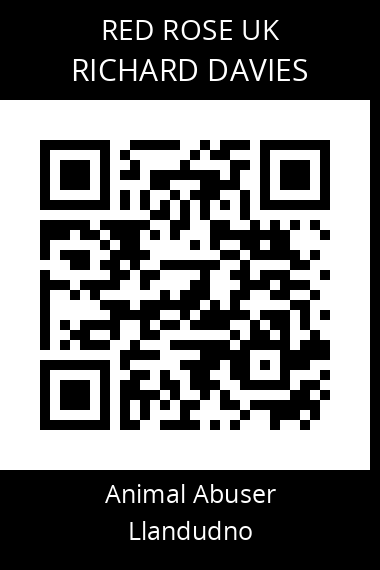 QR code for richard-davies-2