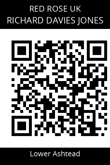 QR code for richard-davies-jones