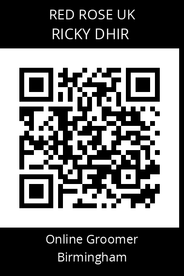 QR code for ricky-dhir