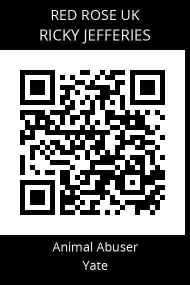 QR code for ricky-jefferies