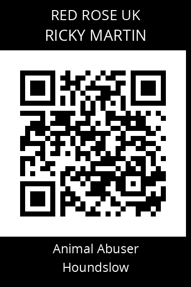 QR code for ricky-martin
