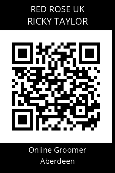 QR code for ricky-taylor