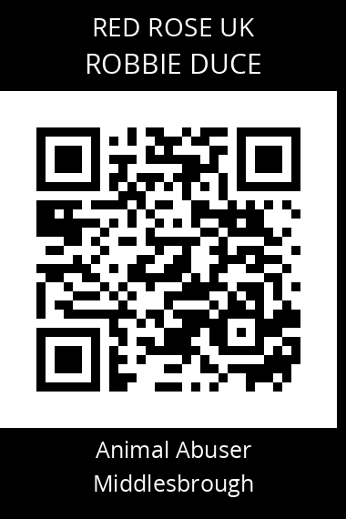 QR code for robbie-duce