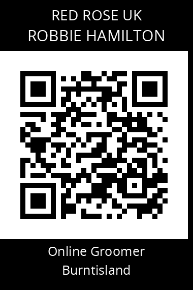QR code for robbie-hamilton