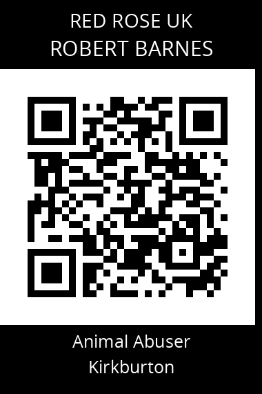 QR code for robert-barnes-2