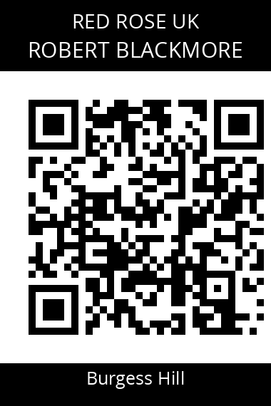 QR code for robert-blackmore-1