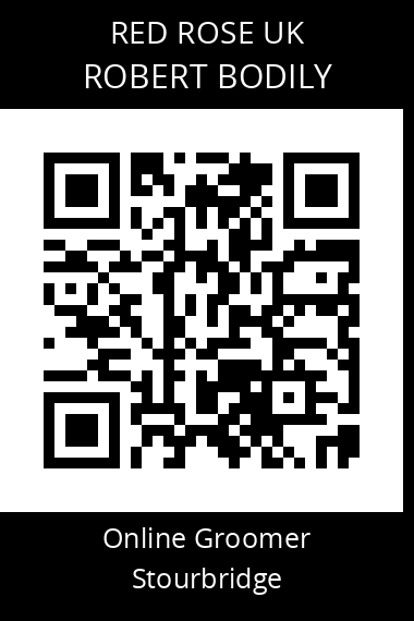 QR code for robert-bodily