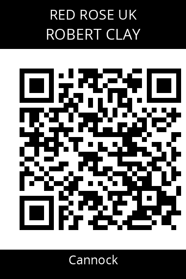 QR code for robert-clay-e9arqe
