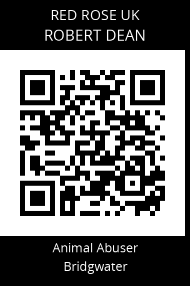 QR code for robert-dean