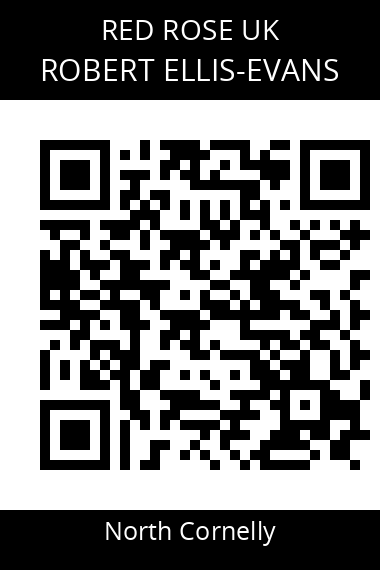 QR code for robert-ellis-evans