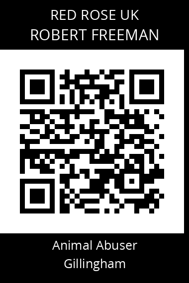 QR code for robert-freeman