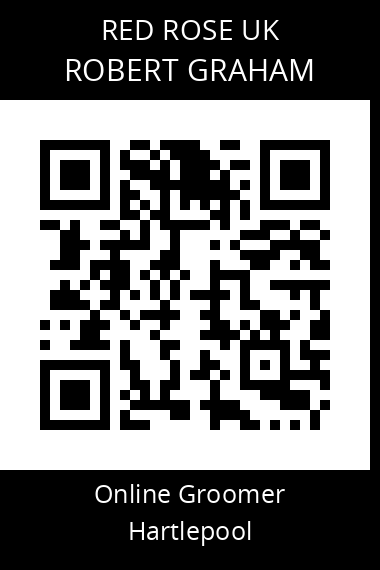 QR code for robert-graham-2