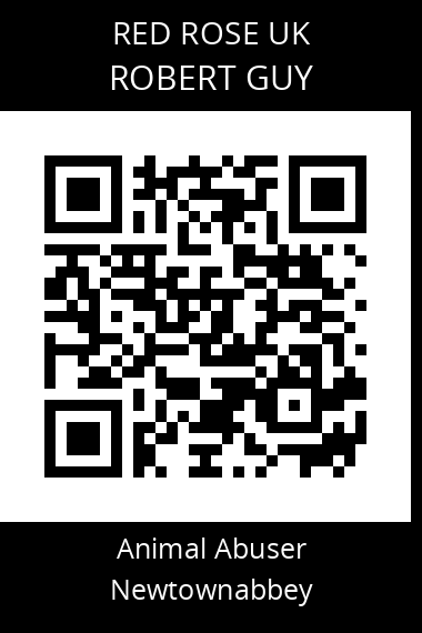 QR code for robert-guy-2