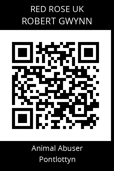 QR code for robert-gwynn-1