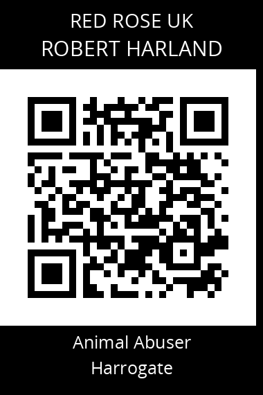 QR code for robert-harland