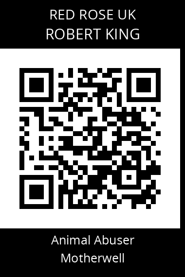 QR code for robert-king-5