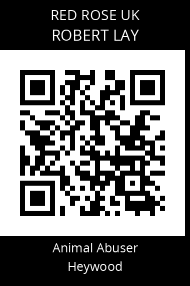 QR code for robert-lay