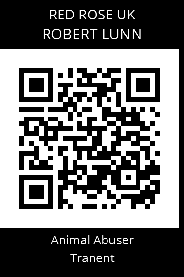 QR code for robert-lunn