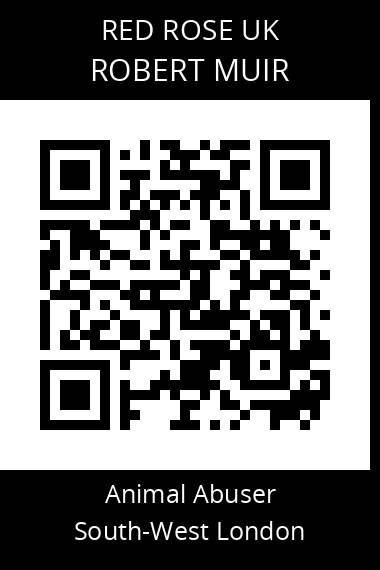 QR code for robert-muir
