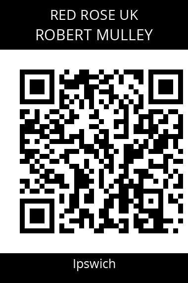 QR code for robert-mulley-ykkswf
