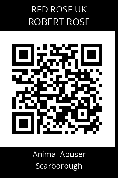 QR code for robert-rose-1