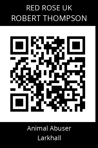 QR code for robert-thompson-1
