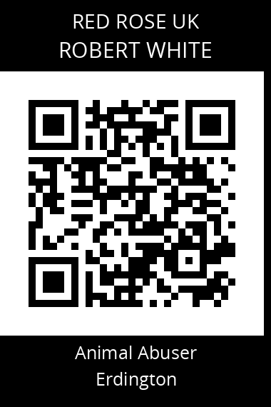 QR code for robert-white-2