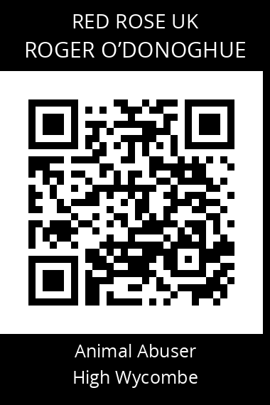 QR code for roger-odonoghue