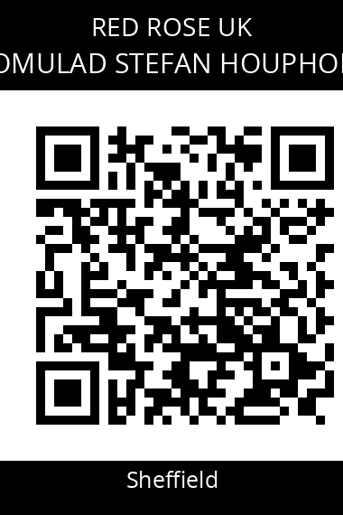 QR code for romulad-stefan-houphoet