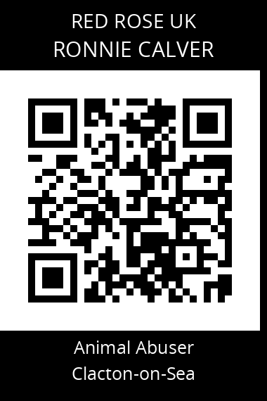 QR code for ronnie-calver