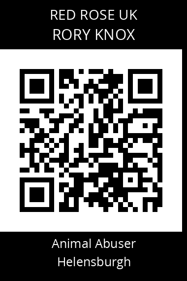 QR code for rory-knox-1