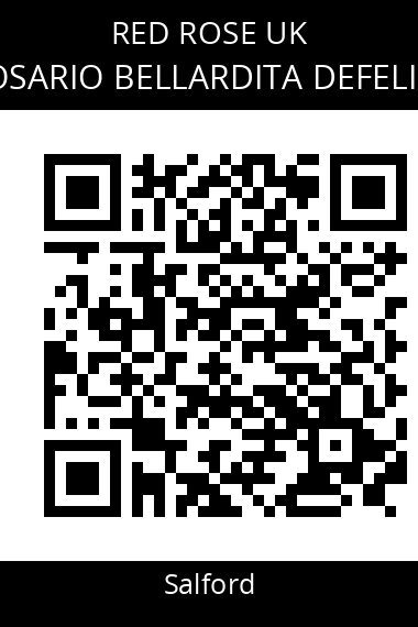 QR code for rosario-bellardita-defelice