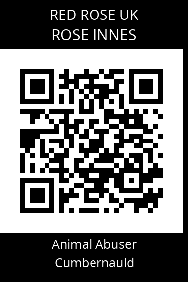 QR code for rose-innes