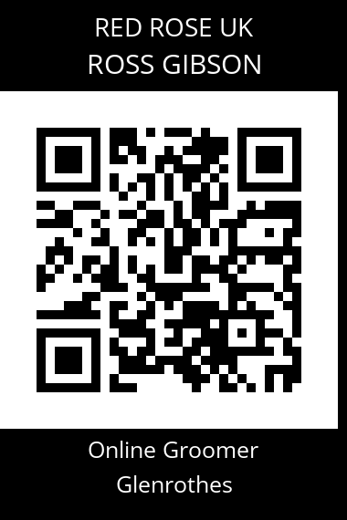 QR code for ross-gibson
